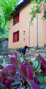 Banjar House | The Dalton's Village - Amidst a pine forest
