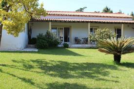 Mouraria Villa | Quinta da Mota - Alfeizerão-São Martinho do porto