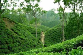 Sreemangal Upazila House | Enjoy the tea estate -sreemangal