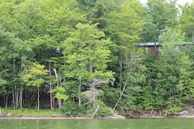 Frontenac Cabin | Elbow View