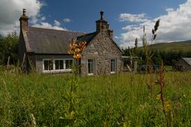 Aberlour Cabin | Croft Glass, unique setting on Forest Clearing