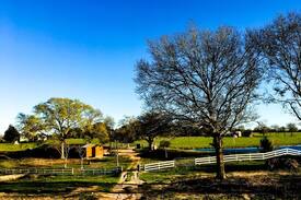 Sublime Cabin | La Buena Amistad Ranch Getaway