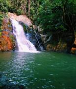 Doradal Other | Espectacular Glamping Doradal + desayuno 2
