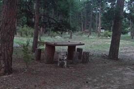 Florissant Cabin | Idlewild Ridge Ranch Historic Cabin