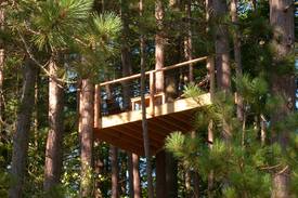 Littleton Cabin | Hilltop Cottage on Partridge Lake