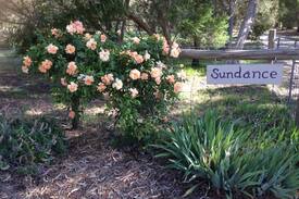 Leawood Gardens Bed & Breakfast | "Sundance" Adelaide Hills B&B