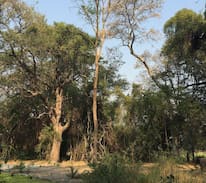 Maun Cabin | Okavango Delta Chilli Farm