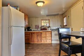 Cougar Other | The Crooked Cabin