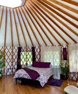 Eagle Point Other | Starlight Meadow Yurt