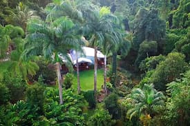 Bellenden Ker House | Wild Ginger Rainforest Retreat