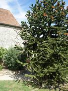 Hermeray Bed & Breakfast | Chante le ventChambre de charme - Hermeray