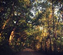 Lobelville Cabin | Sweeney Bluff Lodge steps away from the river