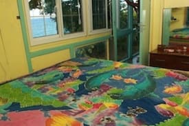 Salt Gut Villa | Villa Sake -The Executive House Boscobel St. Mary