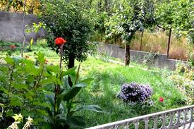 Telavi Bed & Breakfast | Hotel Marinella