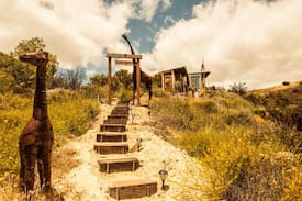 Topanga Cabin | TOP OF THE HILL