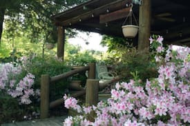 Palestine Cabin | Bird Cottage