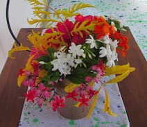 Efate Apartment | Malowia Guest House