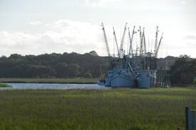 Saint Helena Island Other | Beaufort SC , Private Camper trailer/RV Lot