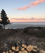Western Head Cabin | The Black Shack