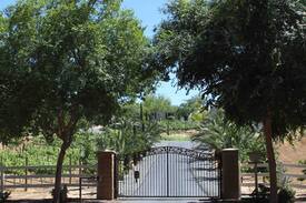 Temecula Other | “Airstream In The Vines” Dog Friendly!