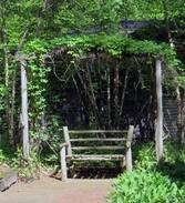Michiana Shores House | Birdhaven