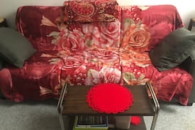 Everett Apartment | Friendly living room space in apartment to relax