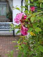 Ambleside House | SHEENFELL- AMBLESIDE HIDDEN GEM