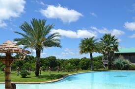 New Braunfels Other | Laguna Vista Tree Haus - Cloud Lane
