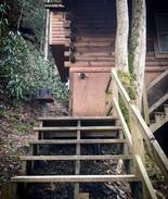 Rogers Cabin | Peaceful Palace