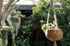 St. Lucia Other | Enduduzweni Tree House