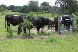 Rockdale Other | Rockdale Farm Cottage !!