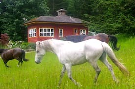 Deer Harbor Other | Rose Cottage - Deer Harbor, Orcas