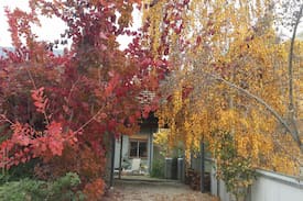 Beechworth House | Crepe Myrtle Cottage Beechworth