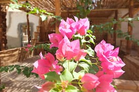 Ghardaia Bed & Breakfast | Residence La Palmeraie Boudzan
