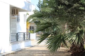 Nicosia House | Costas Hostel Action 2