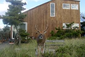 Ocean Bay Park House | Fire Island Beach House- OBP