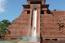 Paradise Island Apartment | ATLANTIS WESTIN RESORT 1 Bed Room Feb 17-24