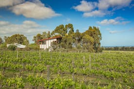 Sellicks Hill Other | The Treehouse McLaren Vale Vineyard