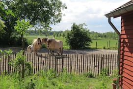 Municipality of Hilvarenbeek House | Tiny house met veel natuurlijke ruimte er om heen.