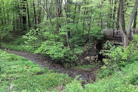 Warren Cabin | THE EDDY