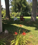 Fredonia House | Lakefront Lily Cabin