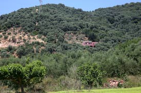 Vatolakkos Apartment | Hawk hill Cottage in olive trees