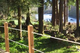 Forks Cabin | Cozy riverside/rain forest cabin ~ Bogie Bungalow
