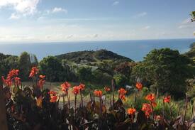 New Lynn House | Piha Tiny House -