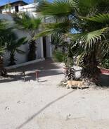 El Mansouria House | Cabanon PLAGE DAVID