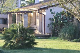 Son Antem Apartment | Casa dels Tarongers / Aptm. für 2 Personen