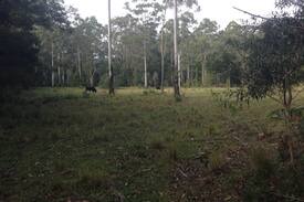 Boolambayte Other | Maccas Fingal Farm Stay bulahdelah, pet friendly
