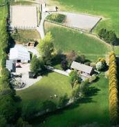 Blessington House | Buttercup Stables