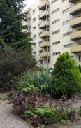 Cottbus Apartment | Wohnung im "Palmental"