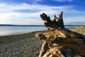 Birch Bay House | Birch Bay Beach Cabana